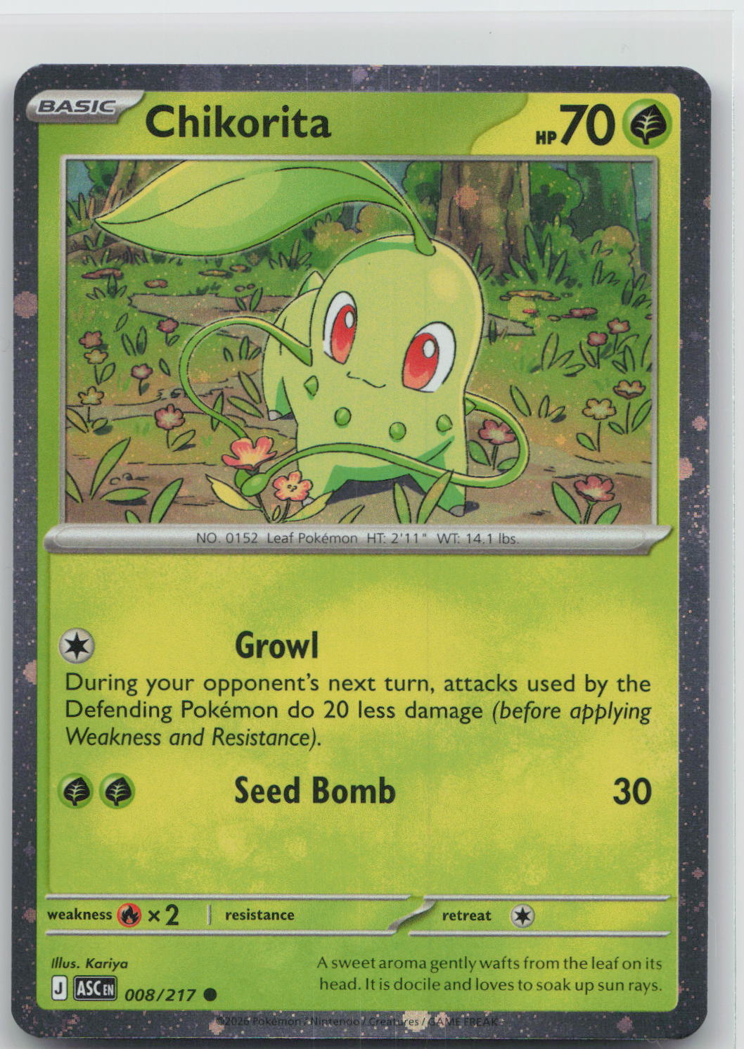 Chikorita (Cosmos Holo) - Ascended Heroes 008/217