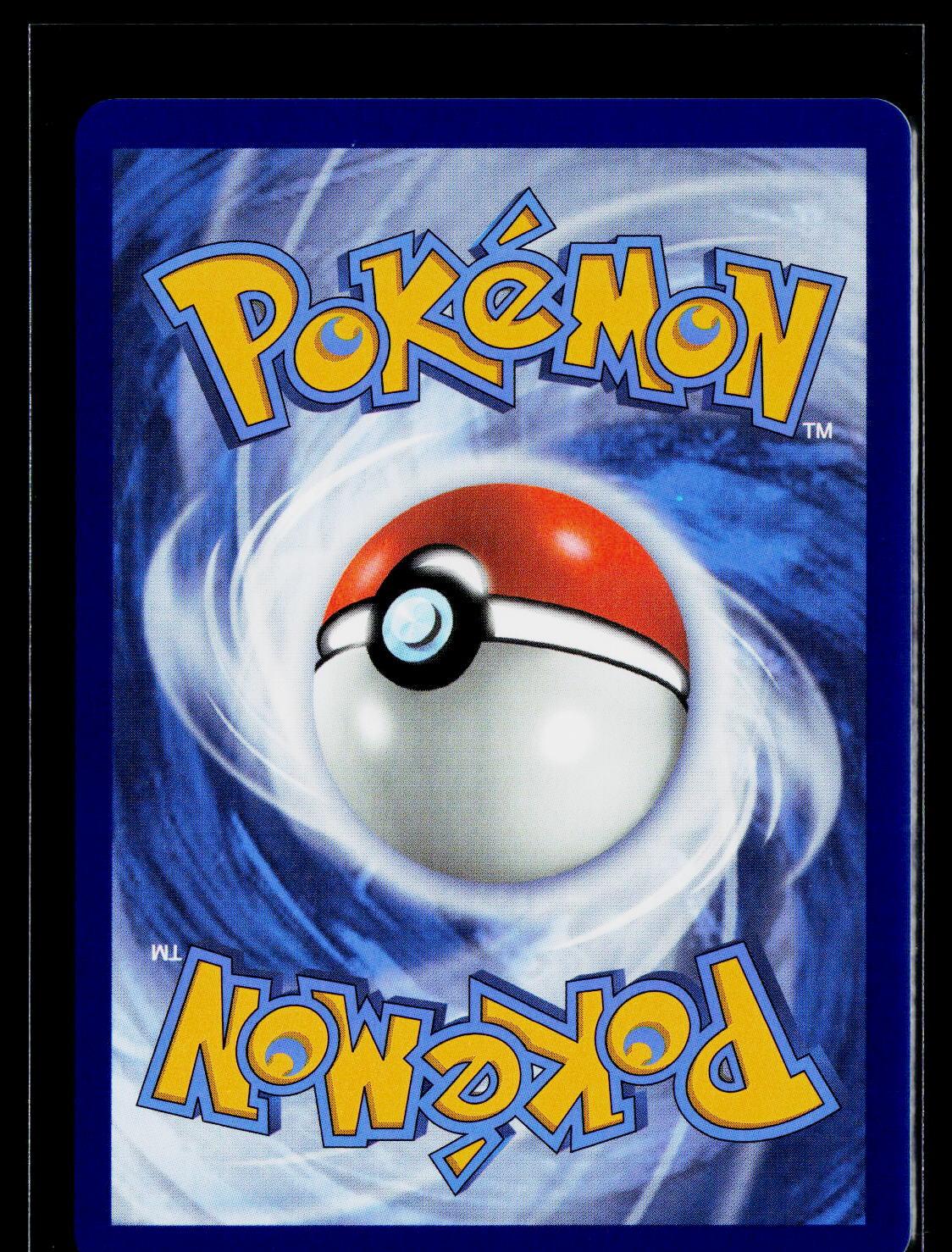 Cynthia's Garchomp ex - Scarlet & Violet Promo 204 back (NM)