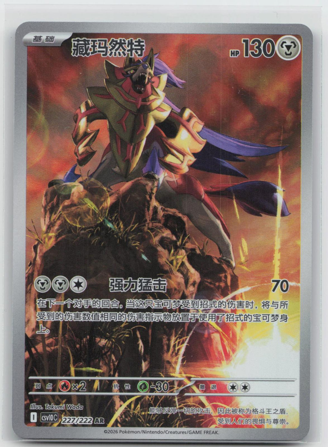 Zamazenta - Chasing Glory Together 227