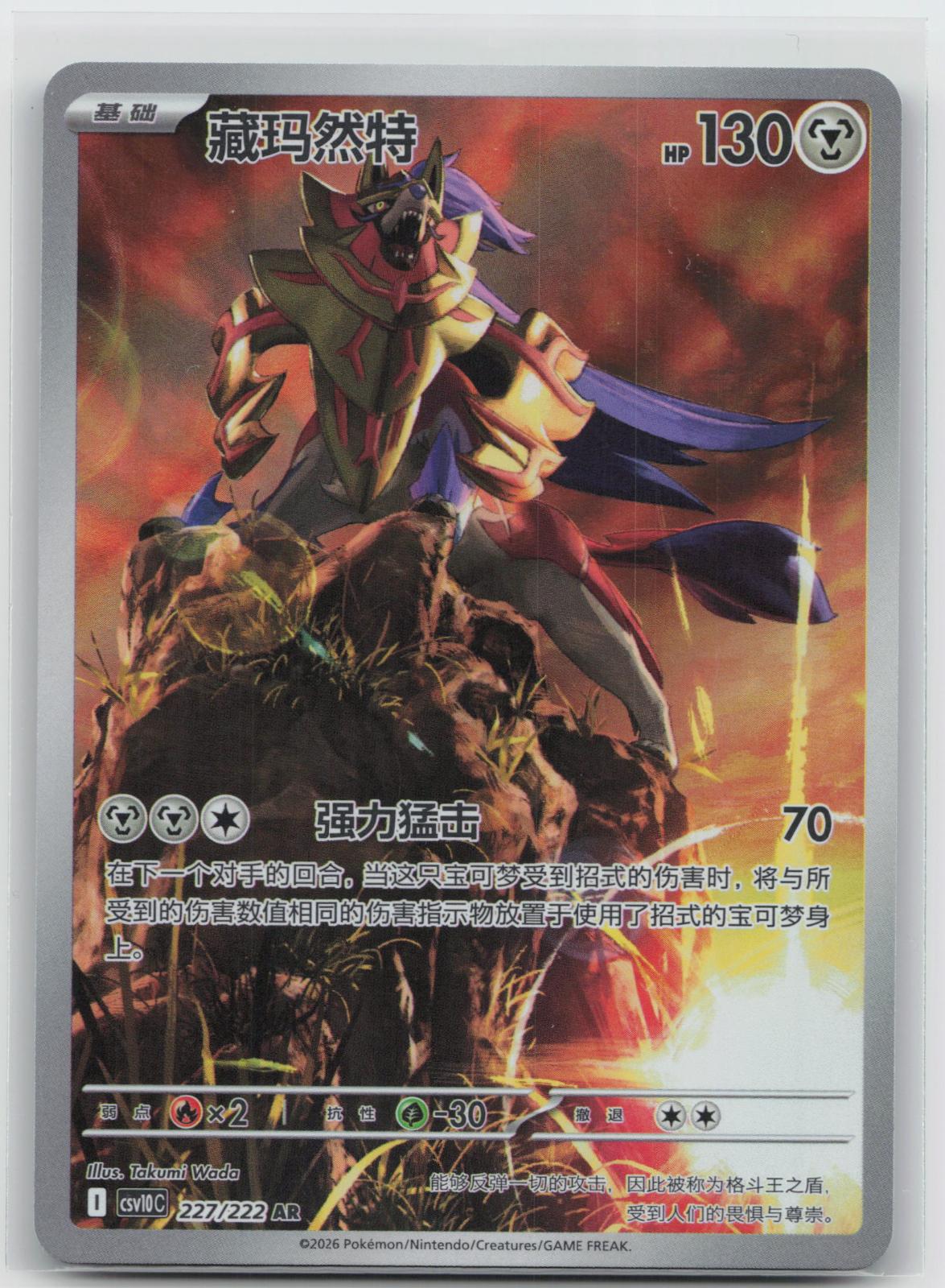 Zamazenta - Chasing Glory Together 227