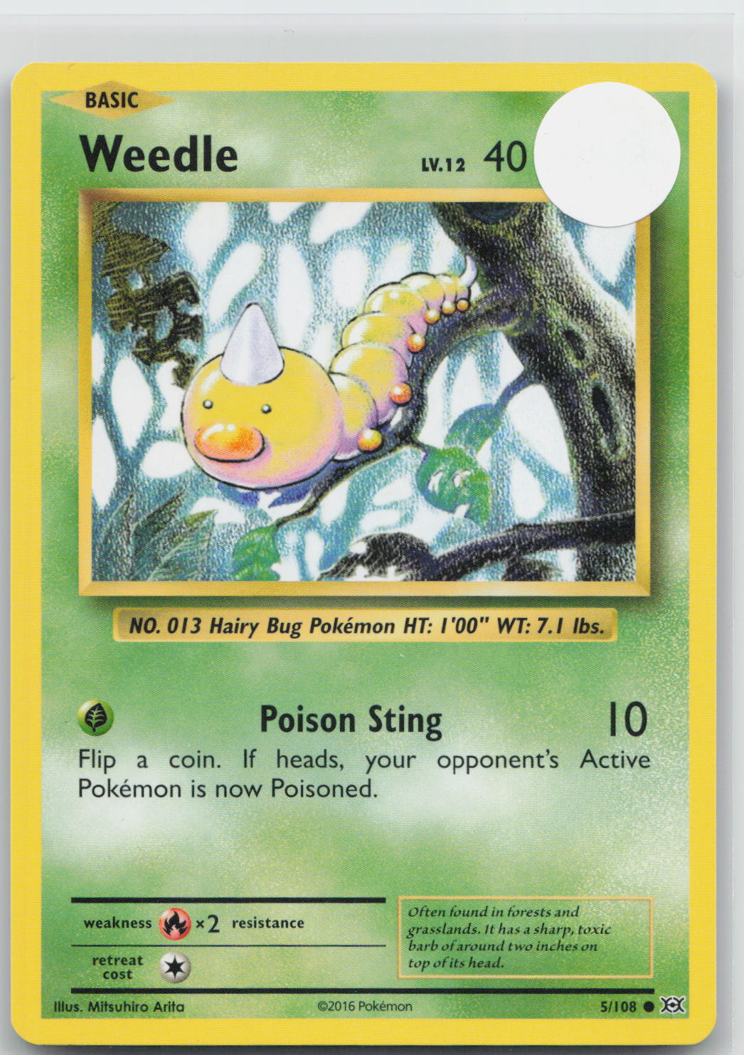 Weedle - Evolutions 5/108