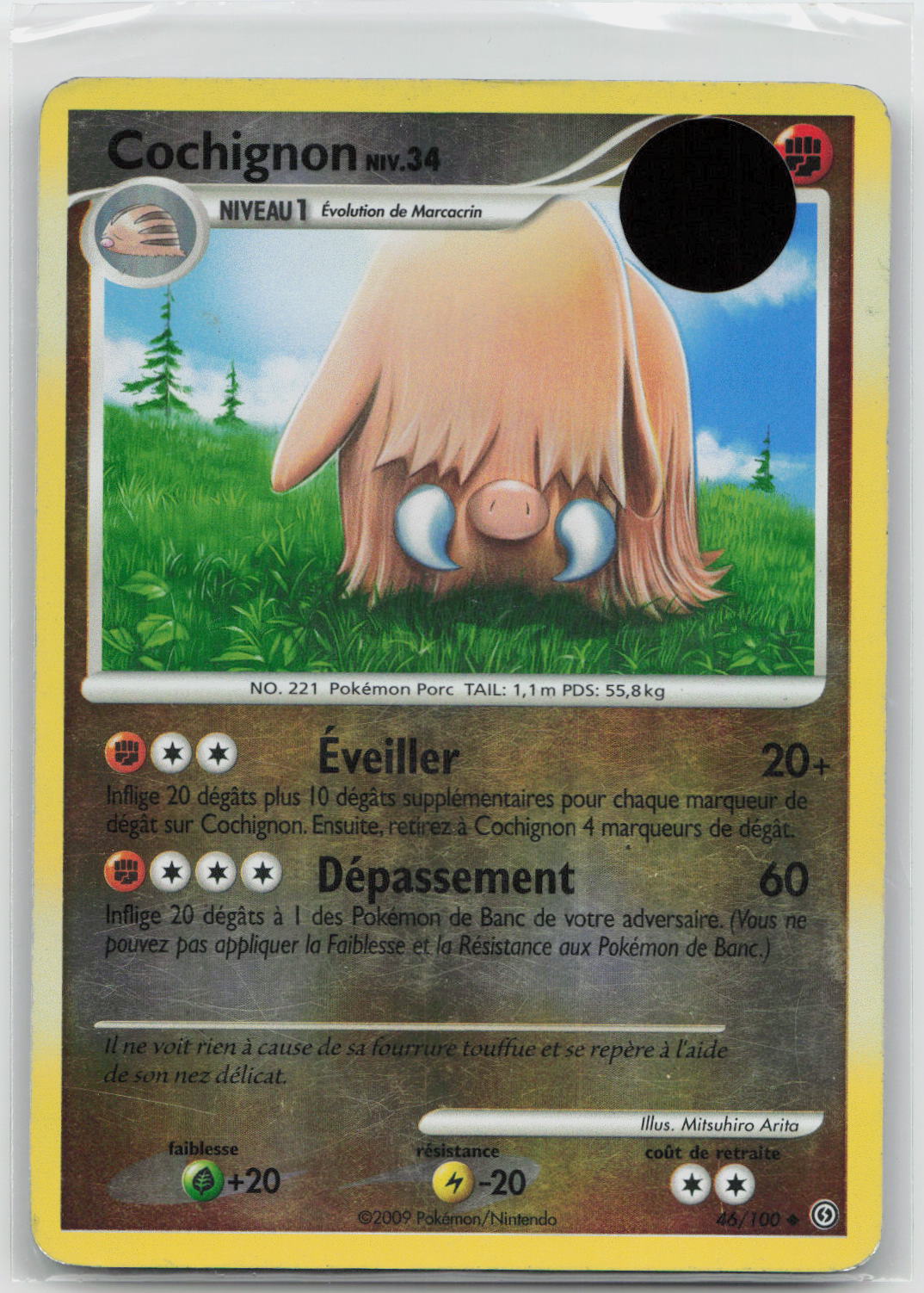 Piloswine - Stormfront 46/100