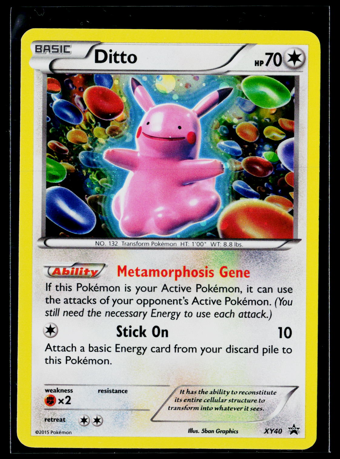 Ditto - XY Promo XY40 (NM)