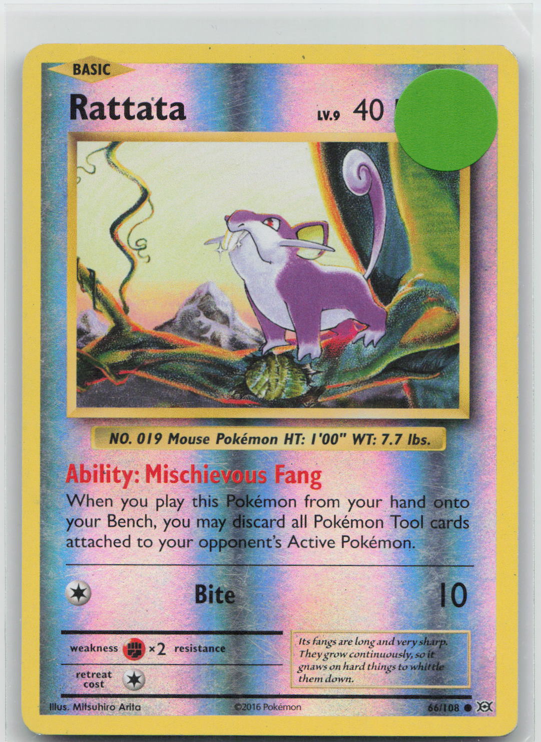Rattata - Evolutions 66/108