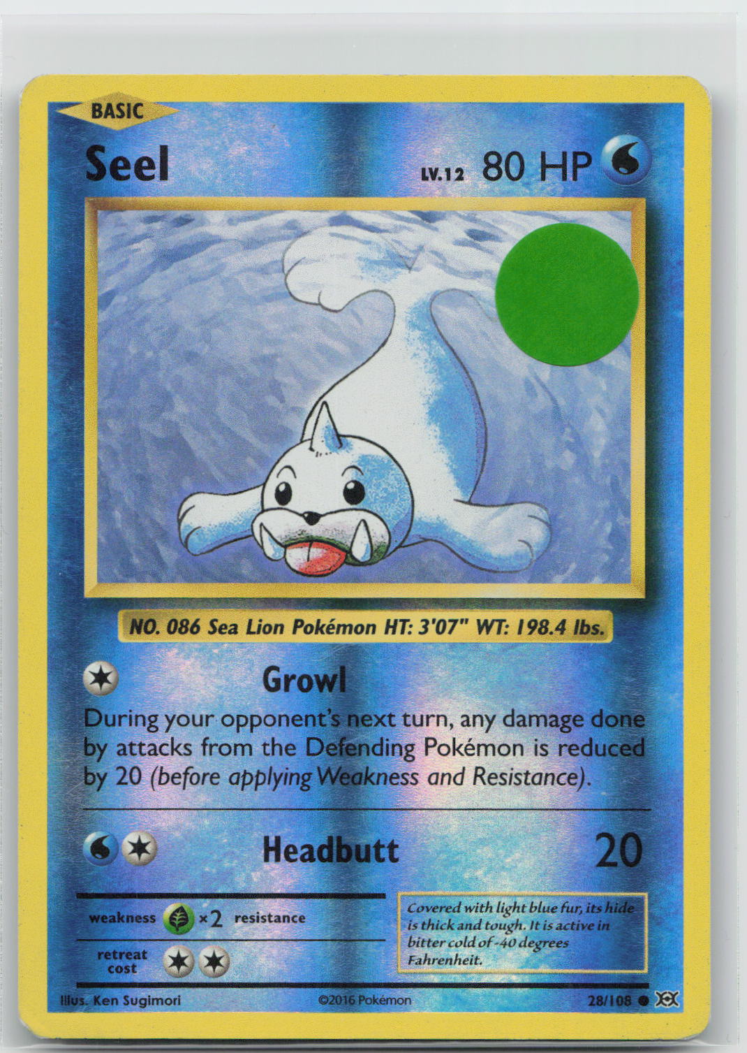 Seel - Evolutions 28/108