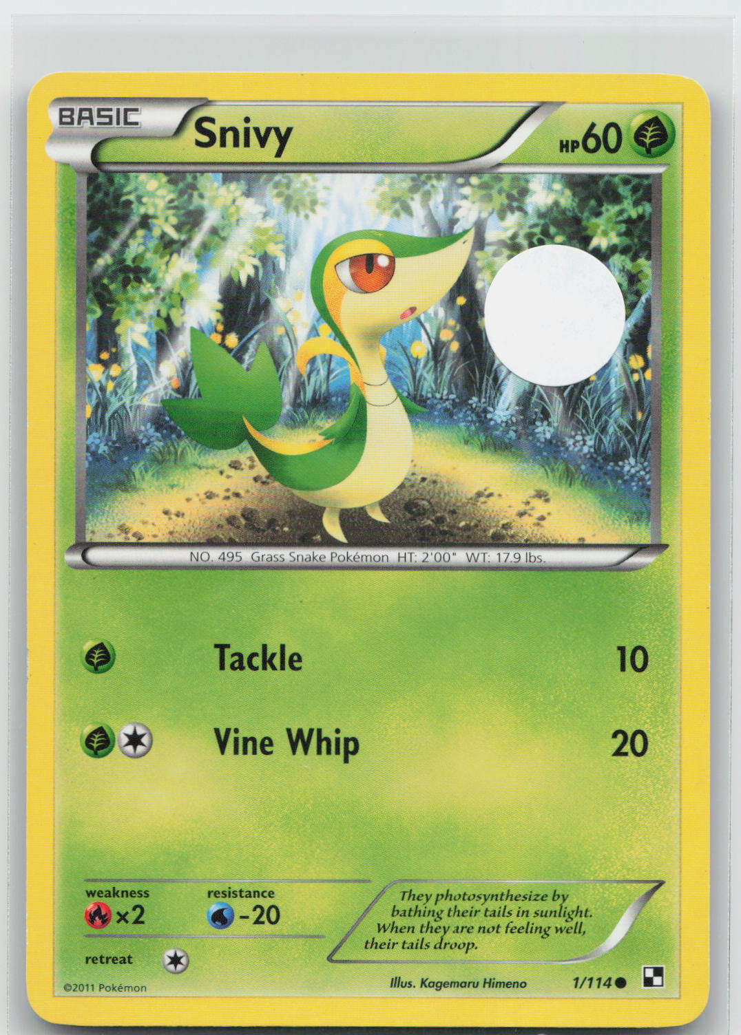 Snivy - Black & White 1/114