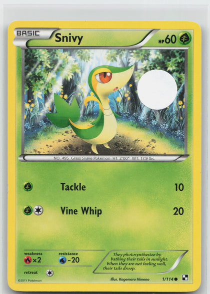 Snivy - Black & White 1/114