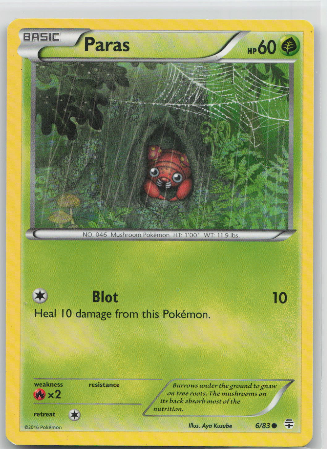 Paras - Generations 6/83