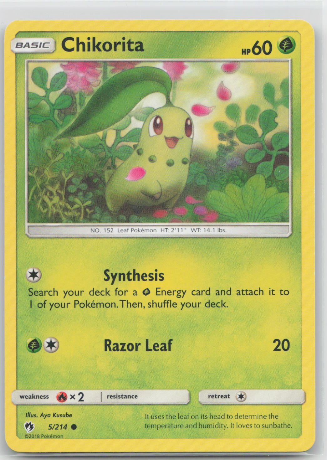 Chikorita - Lost Thunder 5/214