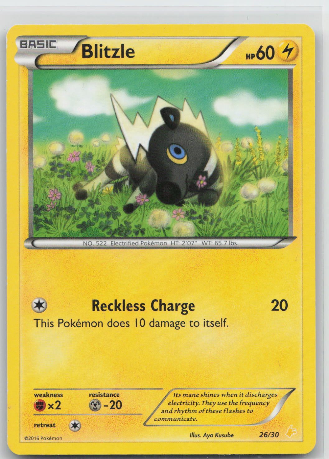 Blitzle - XY trainer Kit (Pikachu Libre) 26/30