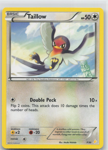 Taillow - XY trainer Kit (Pikachu Libre) 7/30