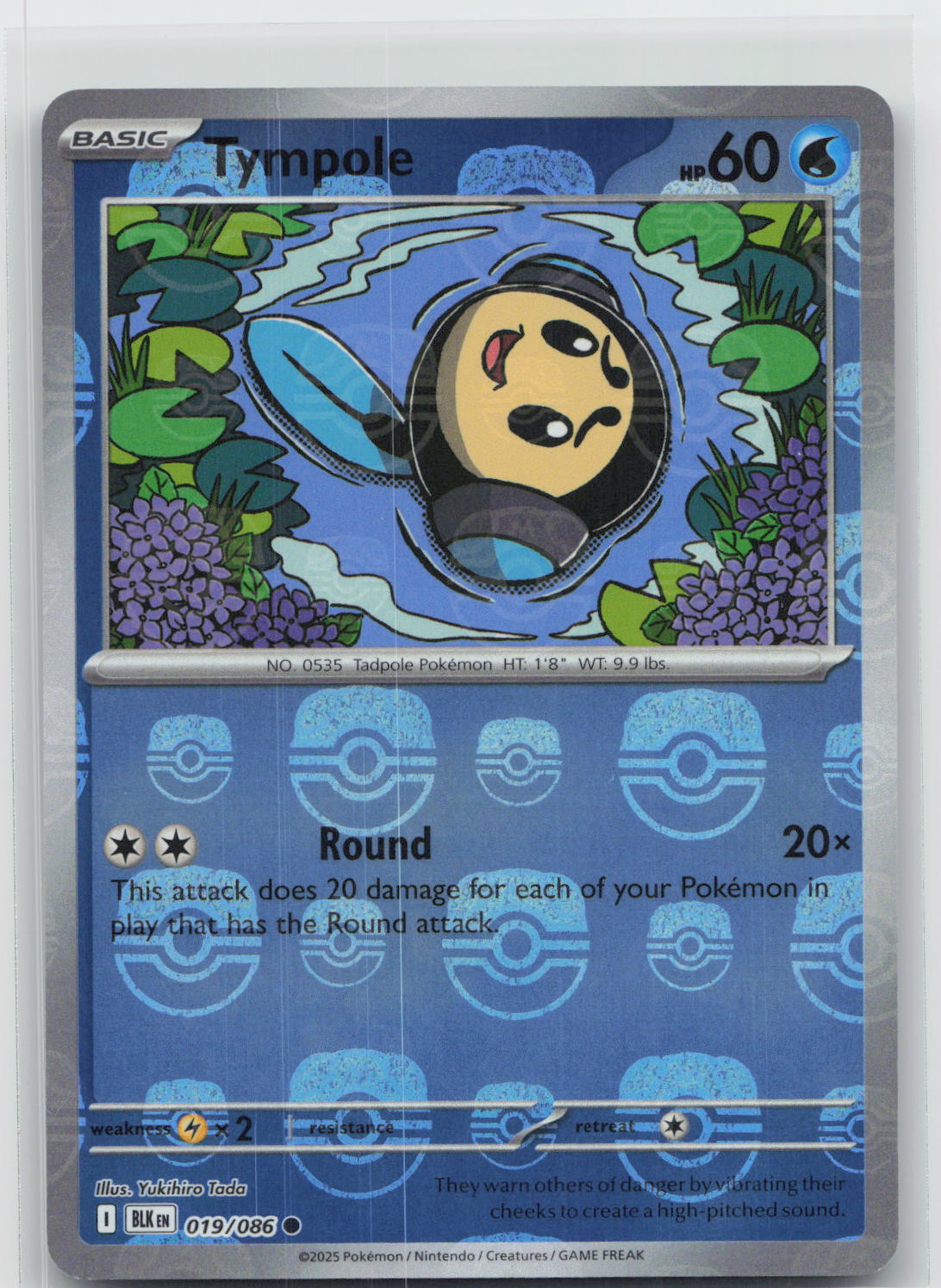 Tympole (Master Ball Pattern) - Black Bolt 019/086