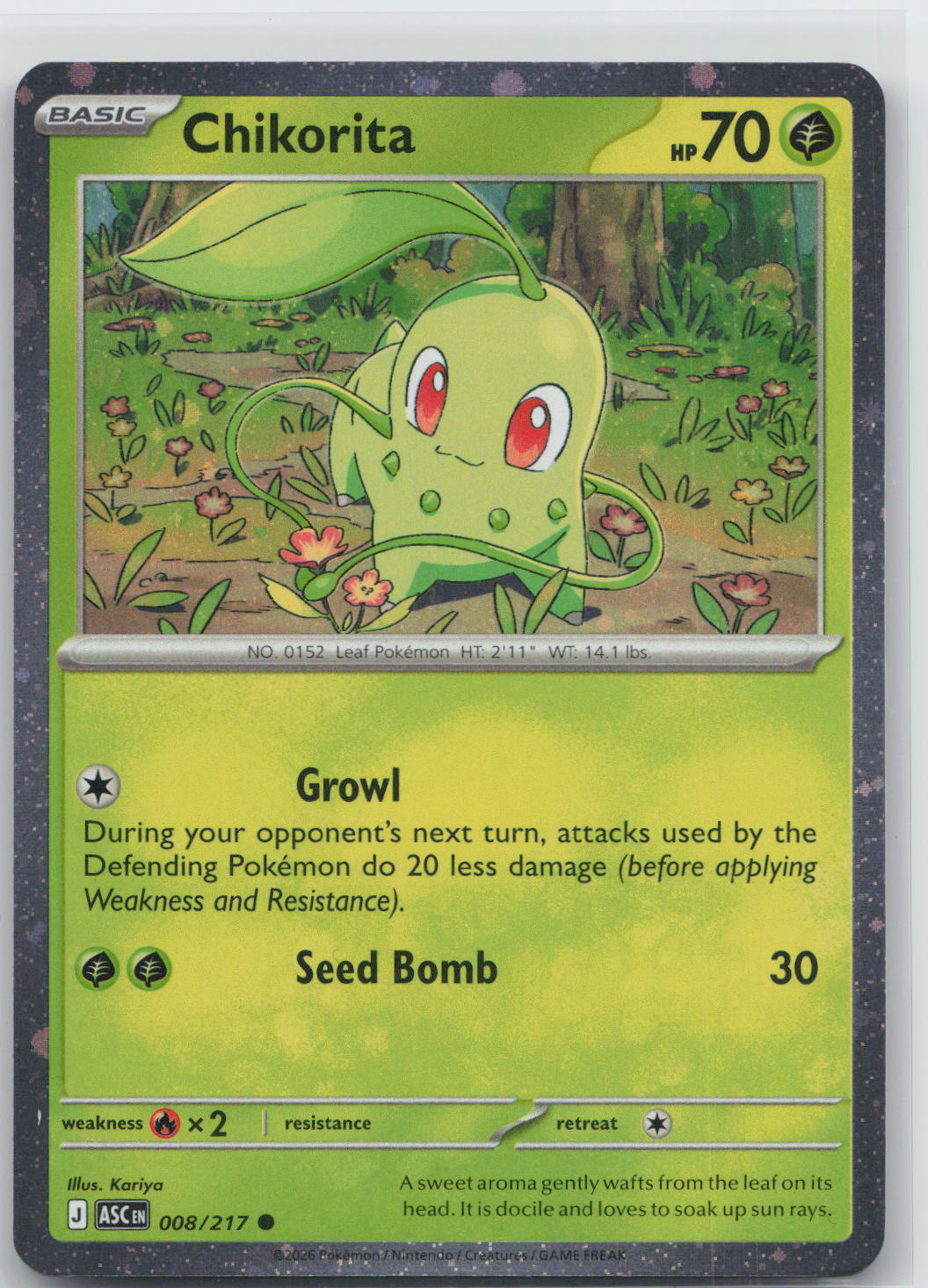 Chikorita - Ascended Heroes 008/217