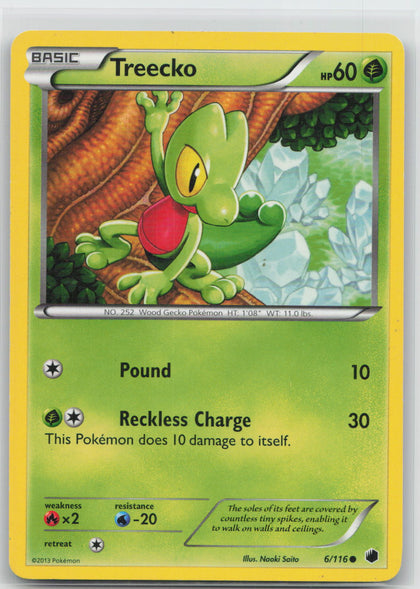 Treecko - Plasma Freeze 6/116